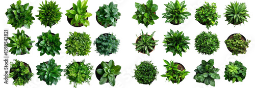 Wallpaper Mural 30 Top View Lush Green Potted Plants Isolated on Transparent Background, Foliage, Greenery, plants, greenery, foliage Torontodigital.ca