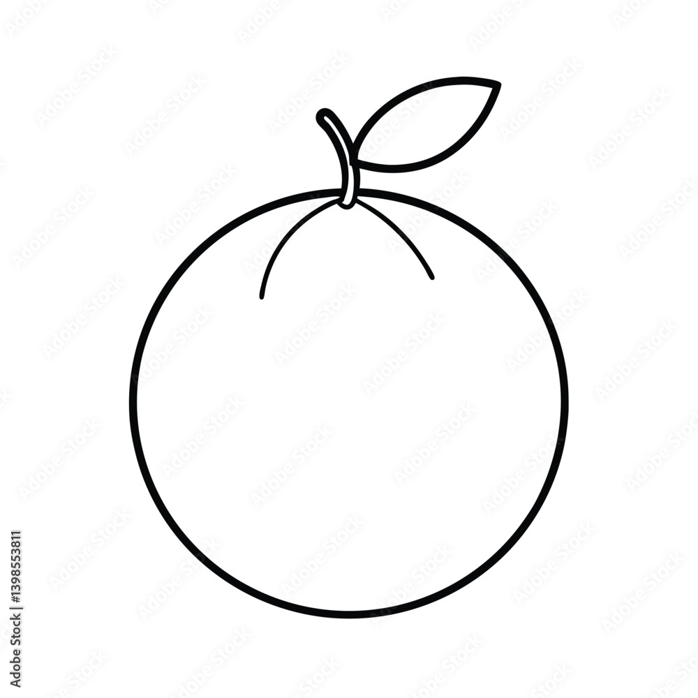 yuzu fruit line art vector illustration yuzu fruit line art vector illustration