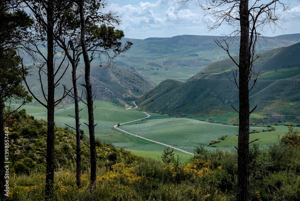 Beautiful spring landscape view from the north of Tunisia