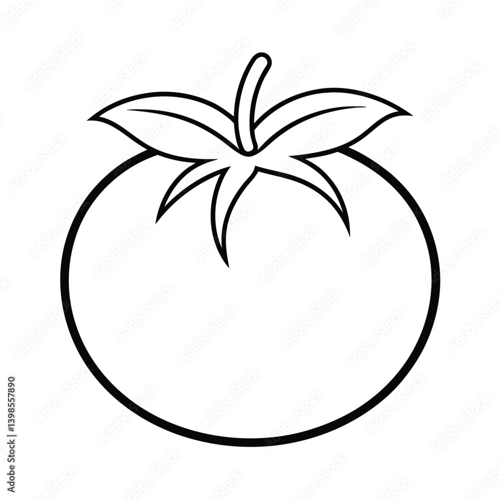 tomato fruit line art vector illustration tomato fruit line art vector illustration