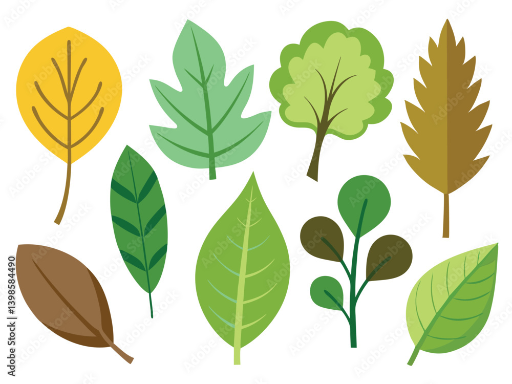 Fototapeta premium vector set of leaves
