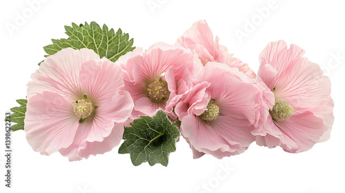 a bunch of pink flowers on a transparent background, PNG image, PNG file, Generative art.