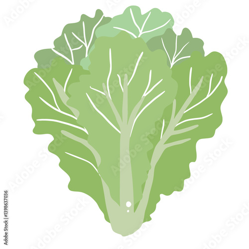 Lettuce salad Illustration of fresh vegetables hand-drawn flat vector elements Organic Food Invitations, gifts, greeting cards, print, textile
