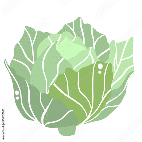 Cabbage Illustration of fresh vegetables hand-drawn flat vector elements Organic Food Invitations, gifts, greeting cards, print, textile