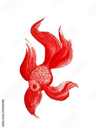 red chinese fish - goldfish