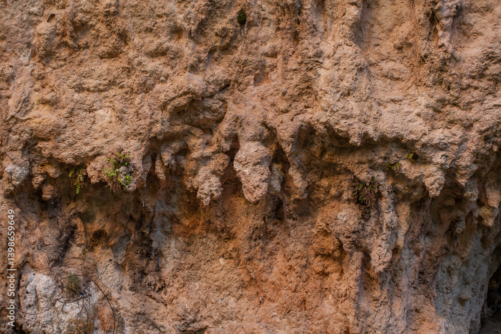 Close-up of a rugged rock face with rough textures and earthy tones. Small green plants grow from crevices, adding life to the ancient, weathered limestone surface shaped by erosion. Close-up of a rugged rock face with rough textures and earthy tones. Small green plants grow from crevices, adding life to the ancient, weathered limestone surface shaped by erosion.