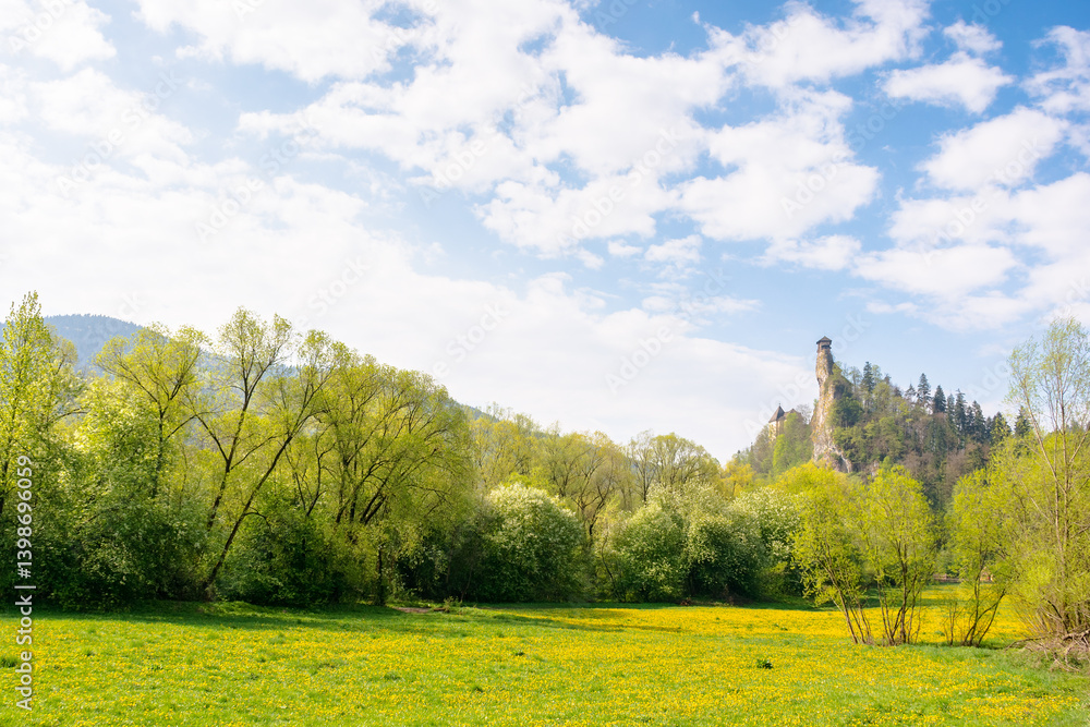 medieval orava castle of slovakia, europe. ancient fortress. high tower above landscape with trees and meadow in spring. sunny day. beautiful scenery