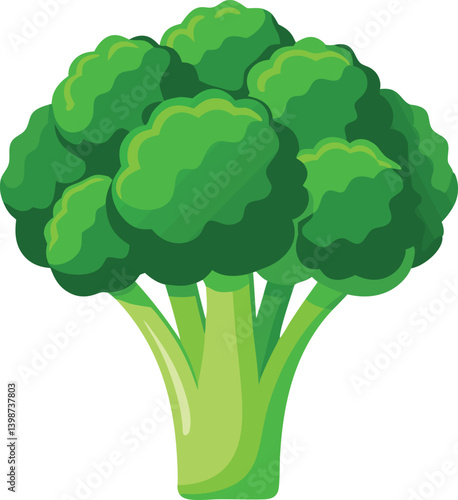 Crisp shot of one raw broccoli head isolated vector illustration