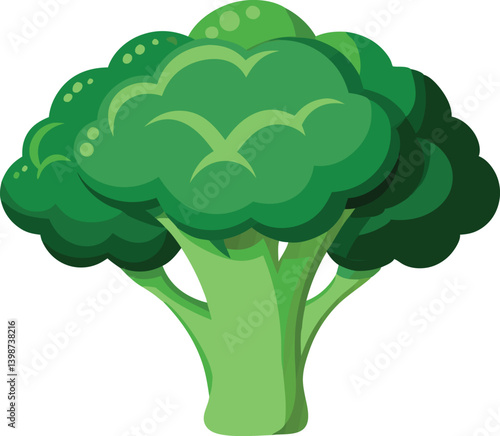 Crisp shot of one raw broccoli head isolated vector illustration