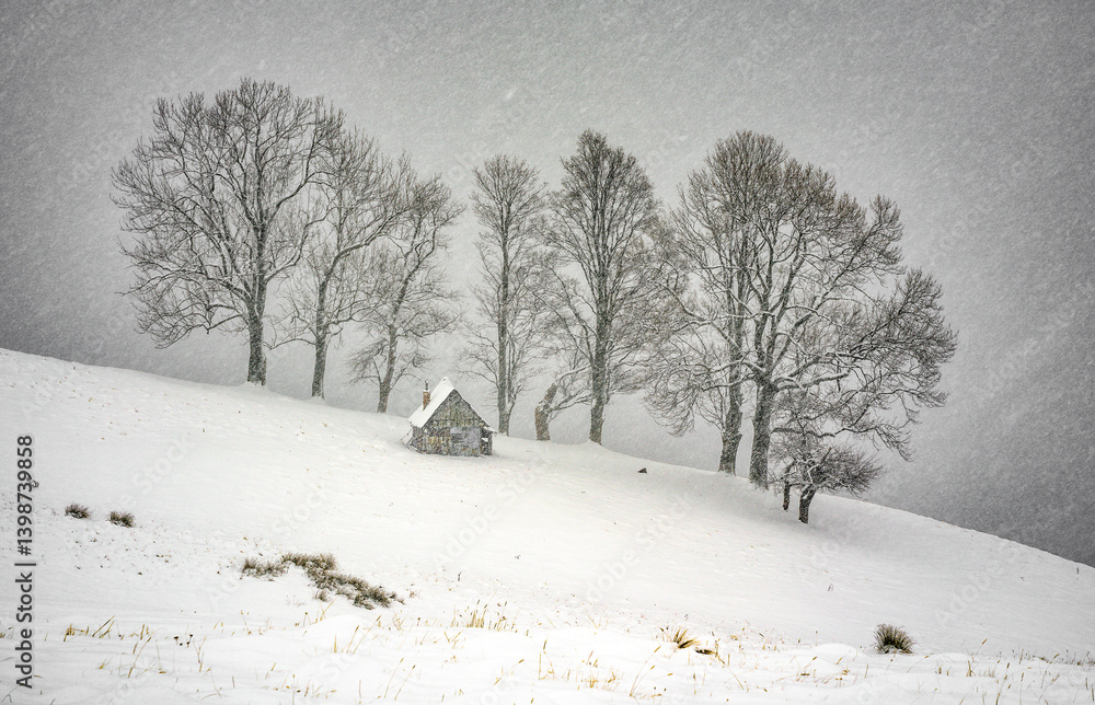 Snowy alpine abandonned house in the woods of Trasnylvanian Alps, Romania, Europe. Blizzard winter landscape with an abandonned chalet.
