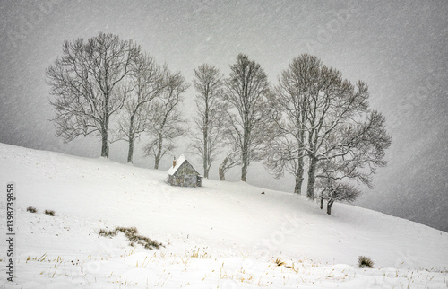 Obraz na płótnie Snowy alpine abandonned house in the woods of Trasnylvanian Alps, Romania, Europe. Blizzard winter landscape with an abandonned chalet. w salonie