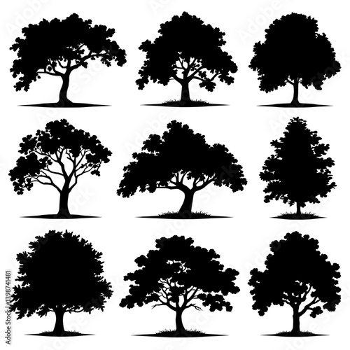 Sycamore Tree Silhouette Vector Bundle Black and White Sycamore Tree Clipart EPS Illustration