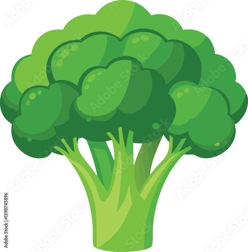 Crisp shot of one raw broccoli head isolated vector illustration