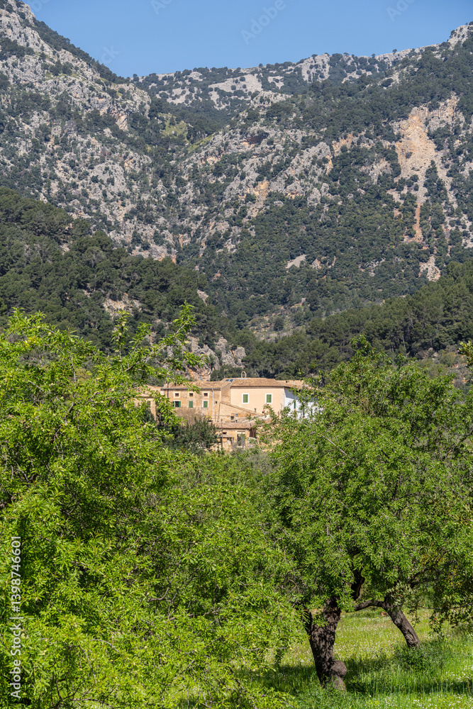 Fototapeta premium Alquería Blanca estate, Bunyola, Natural area of the Serra de Tramuntana., Mallorca, Balearic Islands, Spain