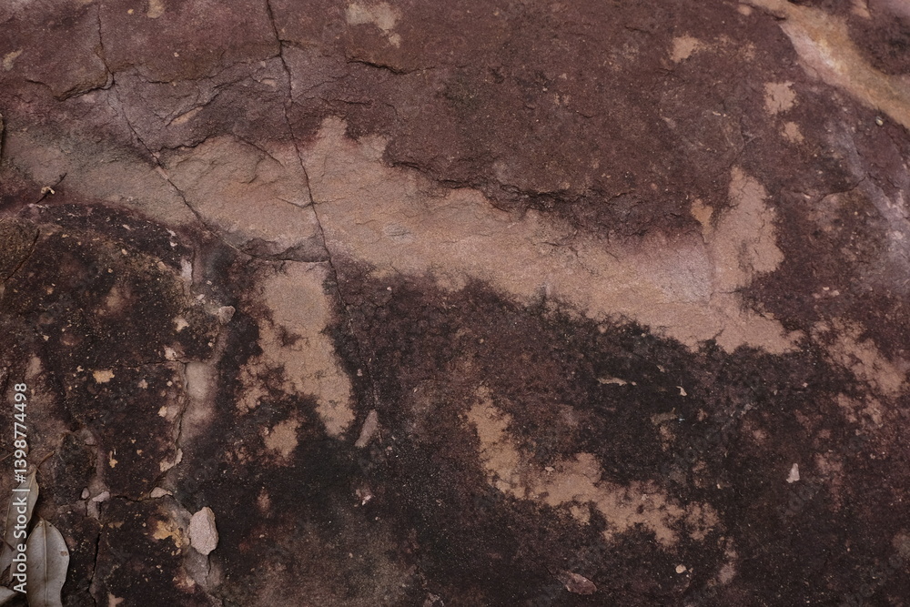 Fototapeta premium Brown and Beige Abstract Texture on Natural Rock Surface Close-up