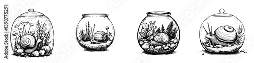Illustration of four unique terrariums featuring detailed snail habitats and vibrant plant life