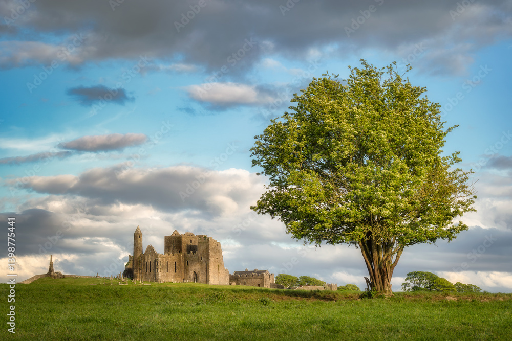 Ancient ruins of Hore Abbey sit beside a lush tree under a serene sky, offering a perfect exploration backdrop in nature and inviting adventures in a tranquil setting, Tipperary, Ireland