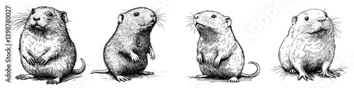 Four detailed sketches of adorable rodents in various poses representing their playful nature and curiosity
