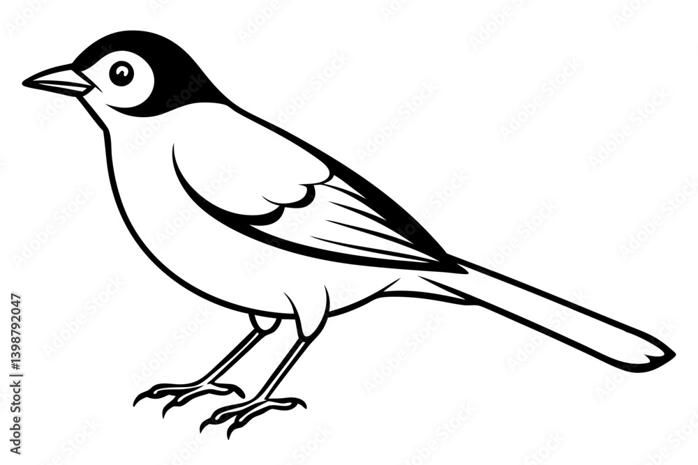 Obraz premium nightingale silhouette line art vector illustration with a white background
