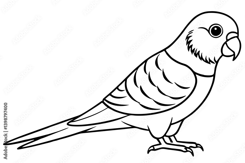 parakeet silhouette line art vector illustration with a white background parakeet silhouette line art vector illustration with a white background