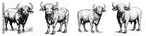 Four distinct illustrations of buffalos on a white background showcasing their unique features and postures