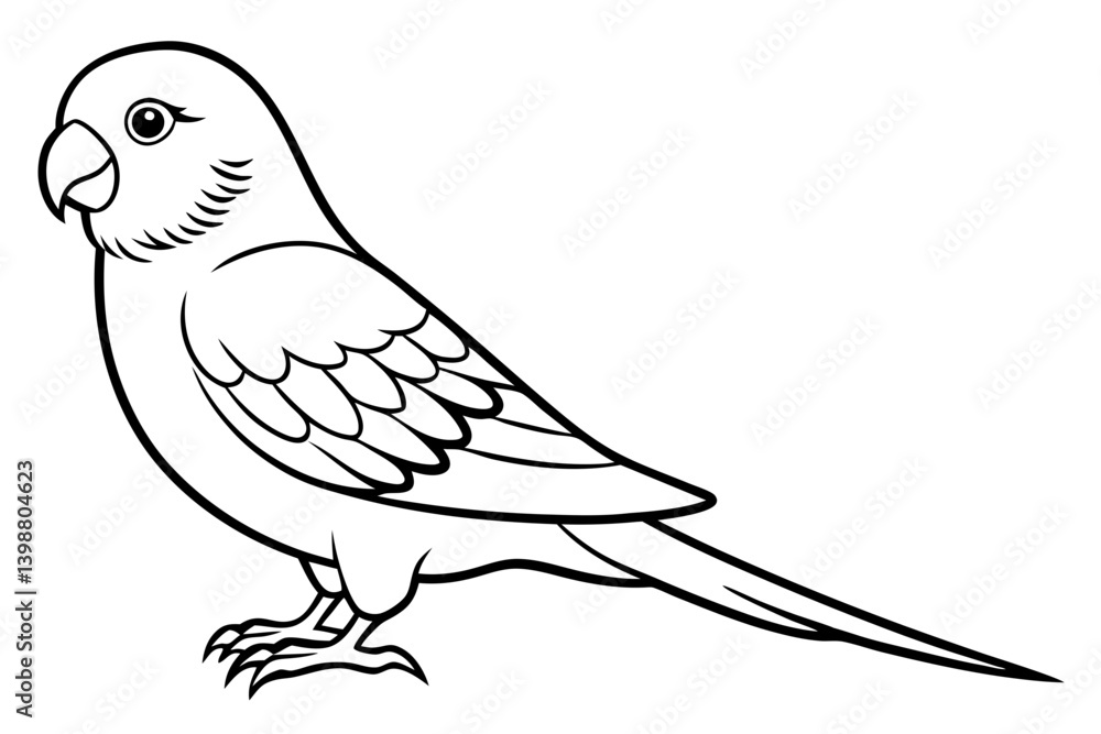 parakeet silhouette line art vector illustration with a white background parakeet silhouette line art vector illustration with a white background