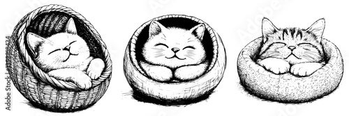 Three adorable cats resting peacefully in cozy baskets during a sunny afternoon at home