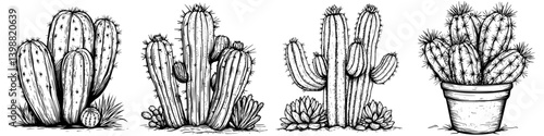 Cacti collection featuring various types and arrangements in a minimalist style suitable for decor and illustration