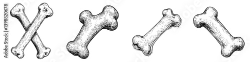 Various styles of dog bones creatively illustrated for pet lovers and animal enthusiasts
