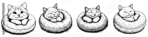 Cats resting peacefully in cozy round beds during a warm afternoon in a playful sketch style