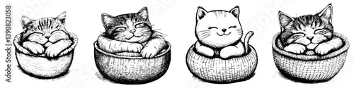 Cute cats resting in woven bowls, showcasing various adorable expressions and poses in a cozy indoor setting