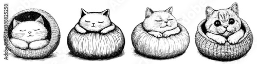 Four adorable cats lounging in cozy woven baskets in a minimalist black and white illustration
