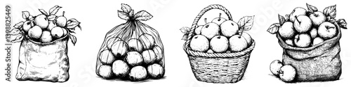 Collection of apples in various containers displayed in a rustic setting during harvest season