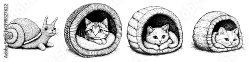 Engaging illustrations of a snail and cats in cozy, woven shelters showcasing warm moments of rest and relaxation