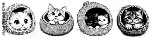 Cute kittens in woven baskets enjoying their cozy resting spots during a sunny afternoon