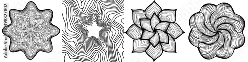 Intricate black and white line patterns showcasing floral and star shapes at an art design exhibit