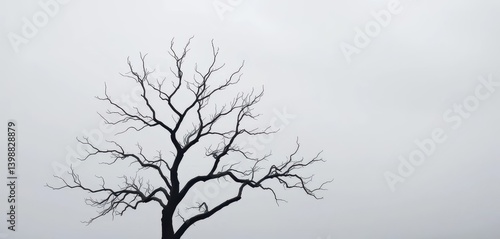 Obraz na płótnie Stark, leafless tree silhouetted against a desolate, grey sky, harsh, desolate w salonie