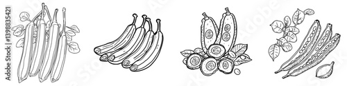 Detailed illustrations of various plant foods including bananas, cucumbers, and okra in black and white