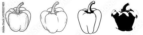 Sketches of bell peppers showcasing detailed outlines and varied shading styles