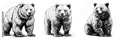 Three hand-drawn bears showcasing different poses and expressions in a forest setting