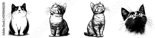Various sketches of cats showcasing their unique poses and expressions in a minimalist style