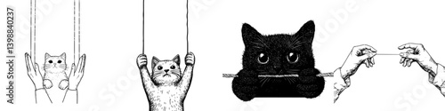 Cats are playfully engaged in a puppet-like performance with human hands, showcasing their curiosity and playfulness
