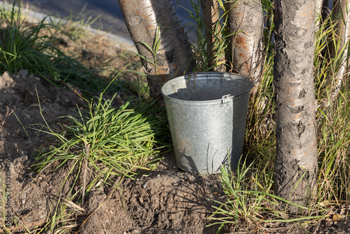 Wallpaper Mural The bucket stands on the ground near the trees. Torontodigital.ca