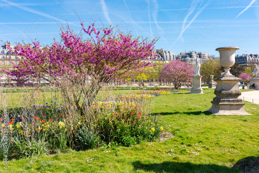 Tuileries gardens in spring, Paris, France