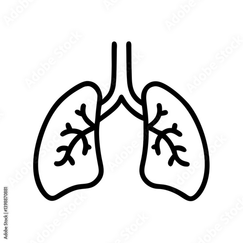 Anatomical lungs illustration showing detailed structure, icon, vector  