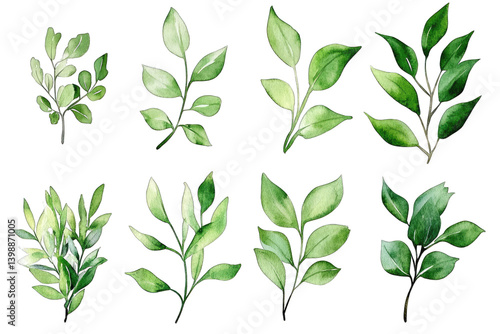 Wallpaper Mural watercolor illustrations of various green leaves and branches showcasing different shapes and shades of green ideal for design and botanical themes Torontodigital.ca