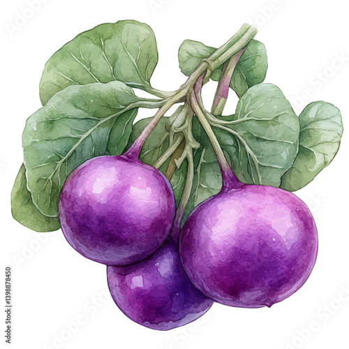 Rasam, watercolor vector, isolated on a white background.