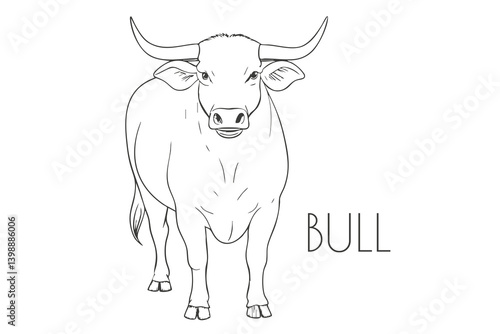 Illustration of a Animal - Bull, Mammalia