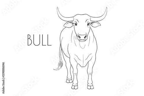 Illustration of a Animal - Bull, Mammalia