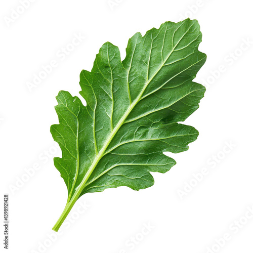 fresh green mizuna leaf Isolated on white transparent background